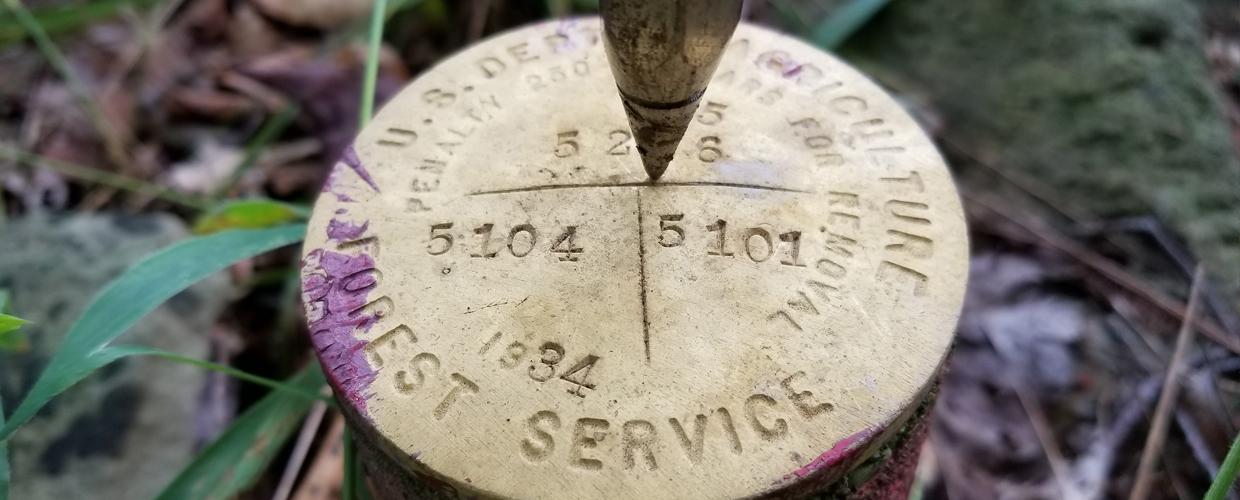 Land Surveying